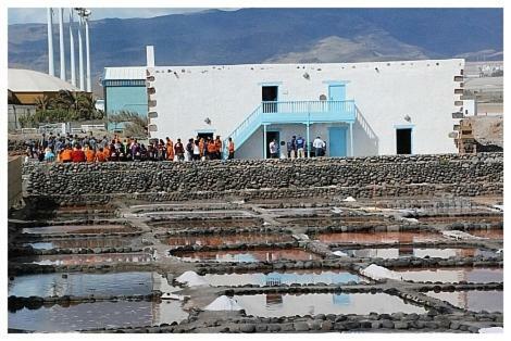 Las Gaviotas Beach Pozo Izquierdo المظهر الخارجي الصورة